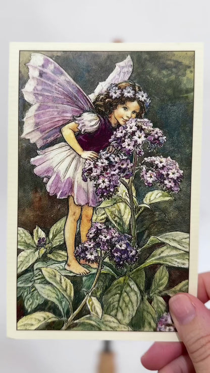 Fairy Caroline // 2-3y